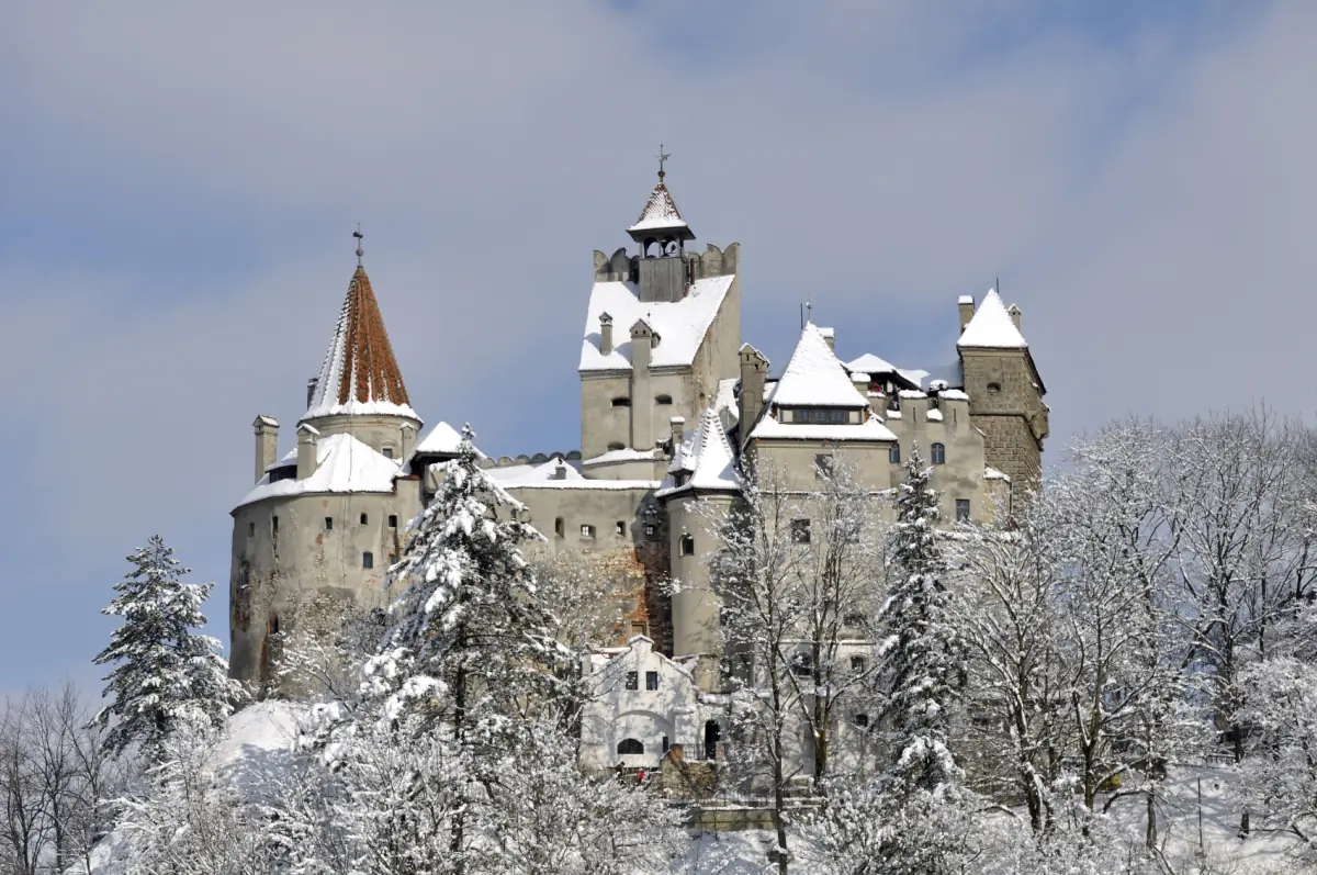 Bran Castle with snow on its roofs and the surrounding fir trees